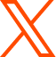 X Icon